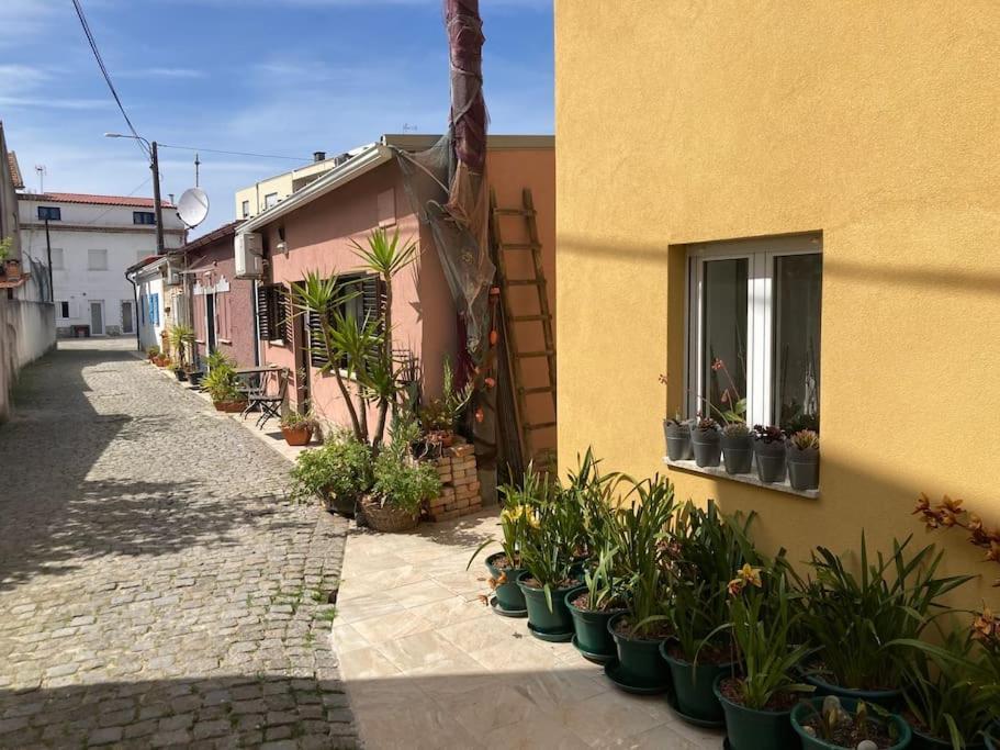 Casa Nova Villa Apulia Bagian luar foto